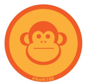 Practically a Primatologist